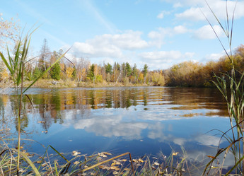 Similar image 904945