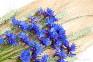 Similar image 904983