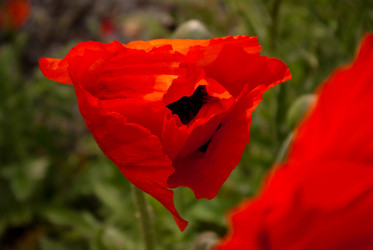 Similar image 905032