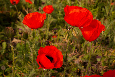 Similar image 905033