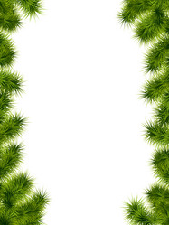 Similar image 905067