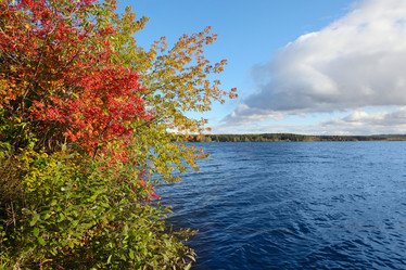 Similar image 905093