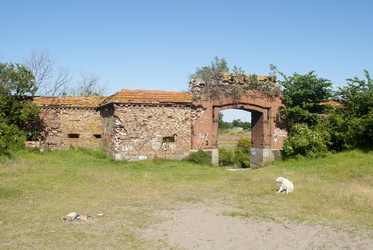 Similar image 905123