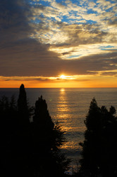 Similar image 905159