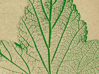 Similar image 905259