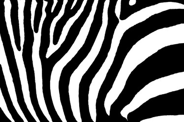 Similar image 905307