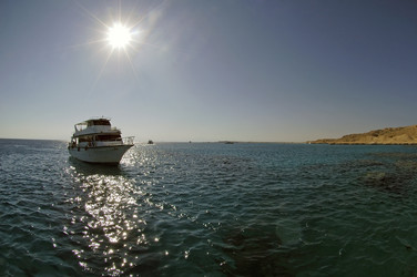 Similar image 905332