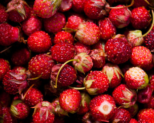 Similar image 905333