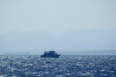 Similar image 905339