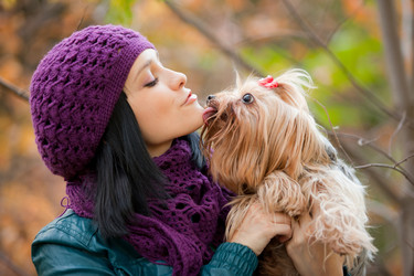 Similar image 905588