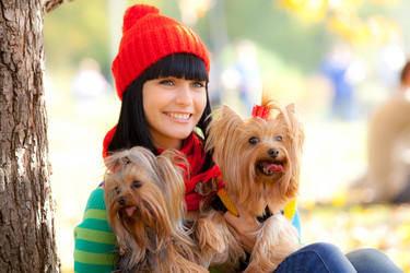 Similar image 905605