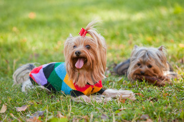 Similar image 905642