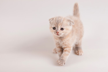 Similar image 905650