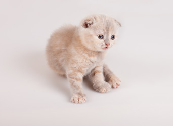 Similar image 905653