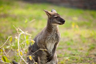 Similar image 905665