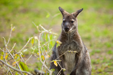 Similar image 905667