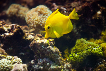 Similar image 905734