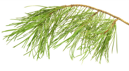 Similar image 905840