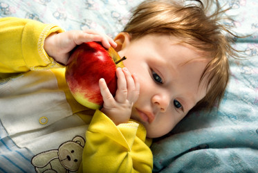 Similar image 905861