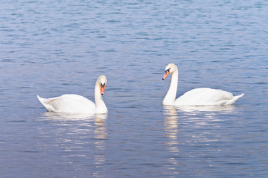 Similar image 905888