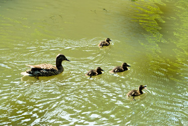 Similar image 905891