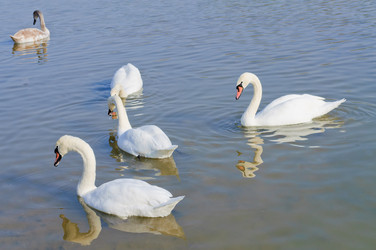 Similar image 905901