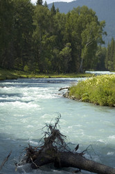 Similar image 905908