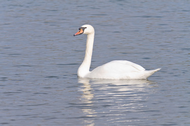 Similar image 905921