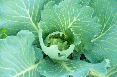 Similar image 905935