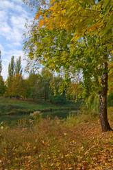 Similar image 905936