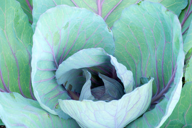 Similar image 905946