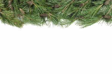 Similar image 906103