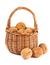 Similar image 906337