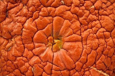 Similar image 906377