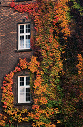 Similar image 906388