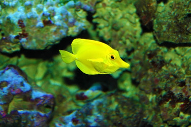 Similar image 906605