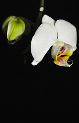 Similar image 906644