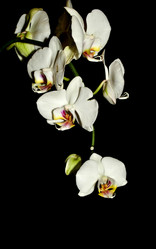 Similar image 906647