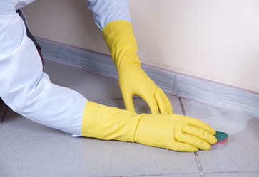 Similar image 906746