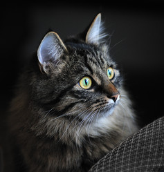 Similar image 906883