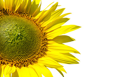 Similar image 906886