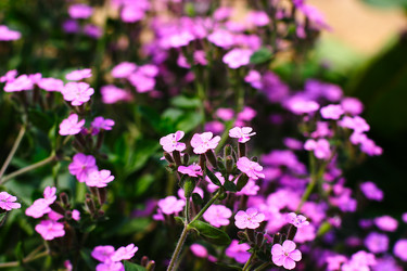 Similar image 906943