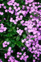 Similar image 906944