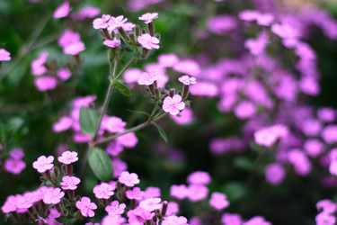 Similar image 906945