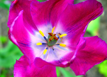 Similar image 906956