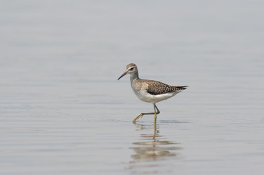 Similar image 906973