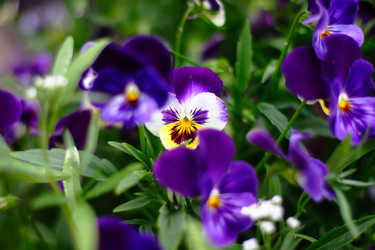 Similar image 906979