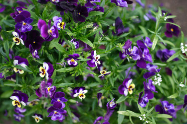 Similar image 906984