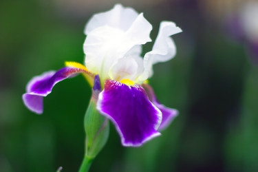 Similar image 906997