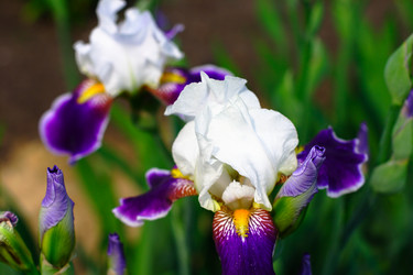 Similar image 906999